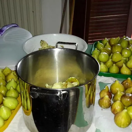 Il Glicine Di