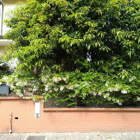 Bed & Breakfast Il Glicine Di *