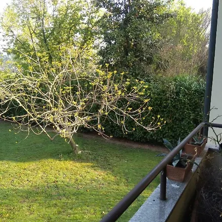Il Glicine Di *