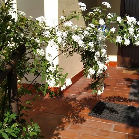 Bed & Breakfast Il Glicine Di
