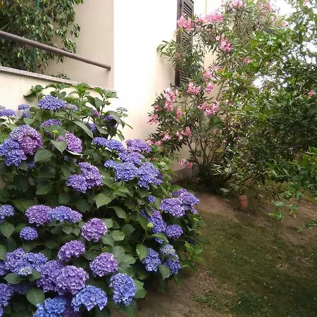 Bed & Breakfast Il Glicine Di